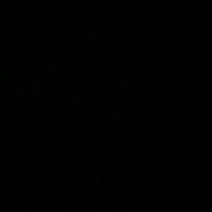 Meet your Posher, Robbie